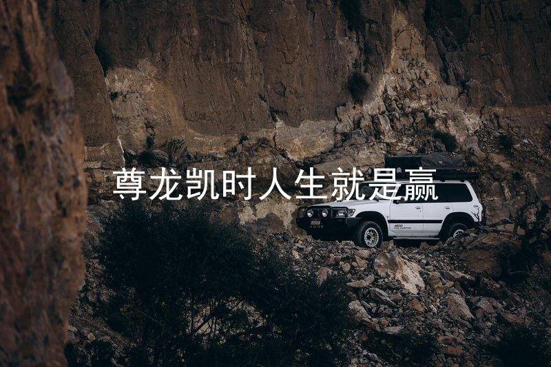 尊龙凯时人生就是赢