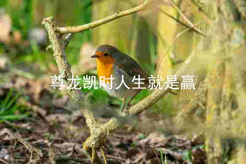 尊龙凯时人生就是赢