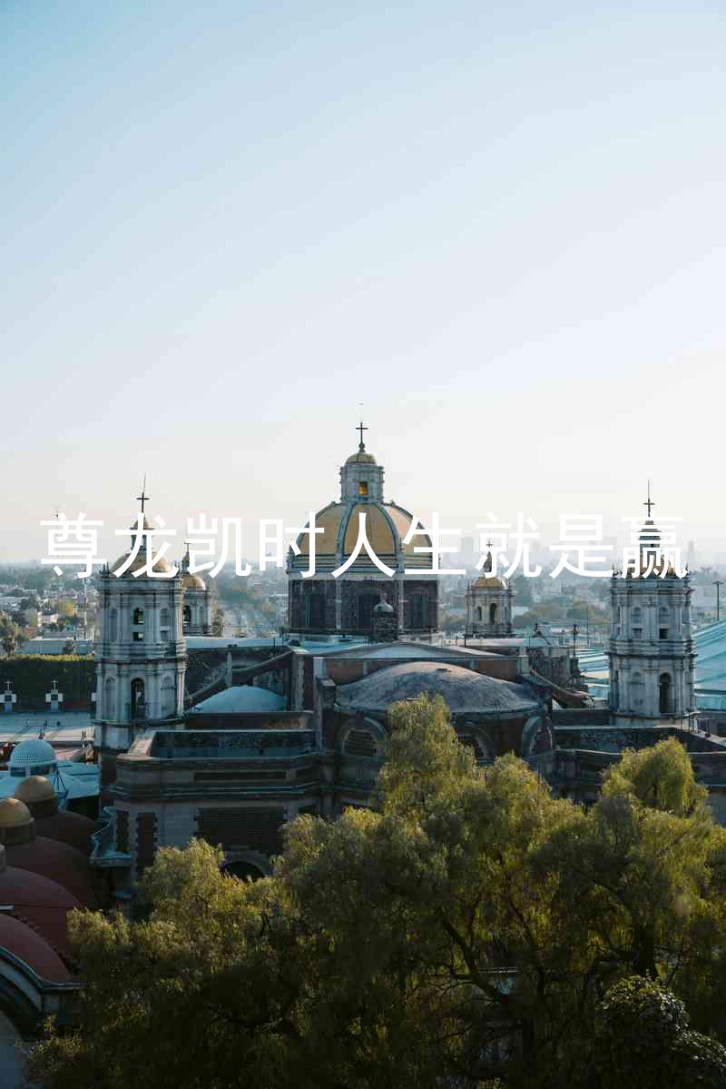 尊龙凯时人生就是赢