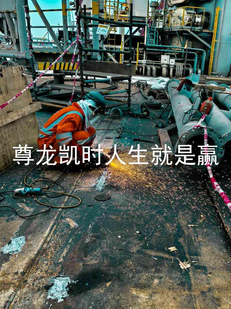 尊龙凯时人生就是赢